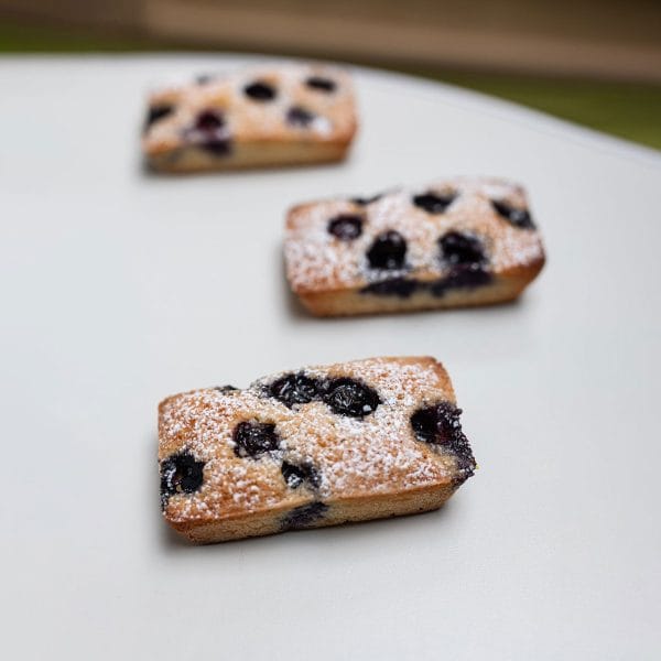 6 Unidades Financier con fruta de estacion